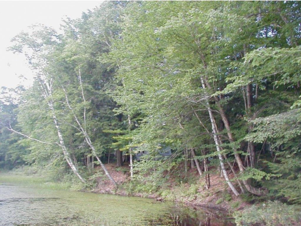 32-34 Goose Pond Road Hanover, NH 03755 - Photo 15 of 28