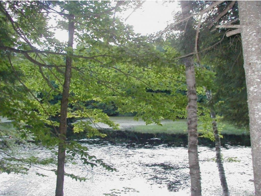32-34 Goose Pond Road Hanover, NH 03755 - Photo 6 of 28