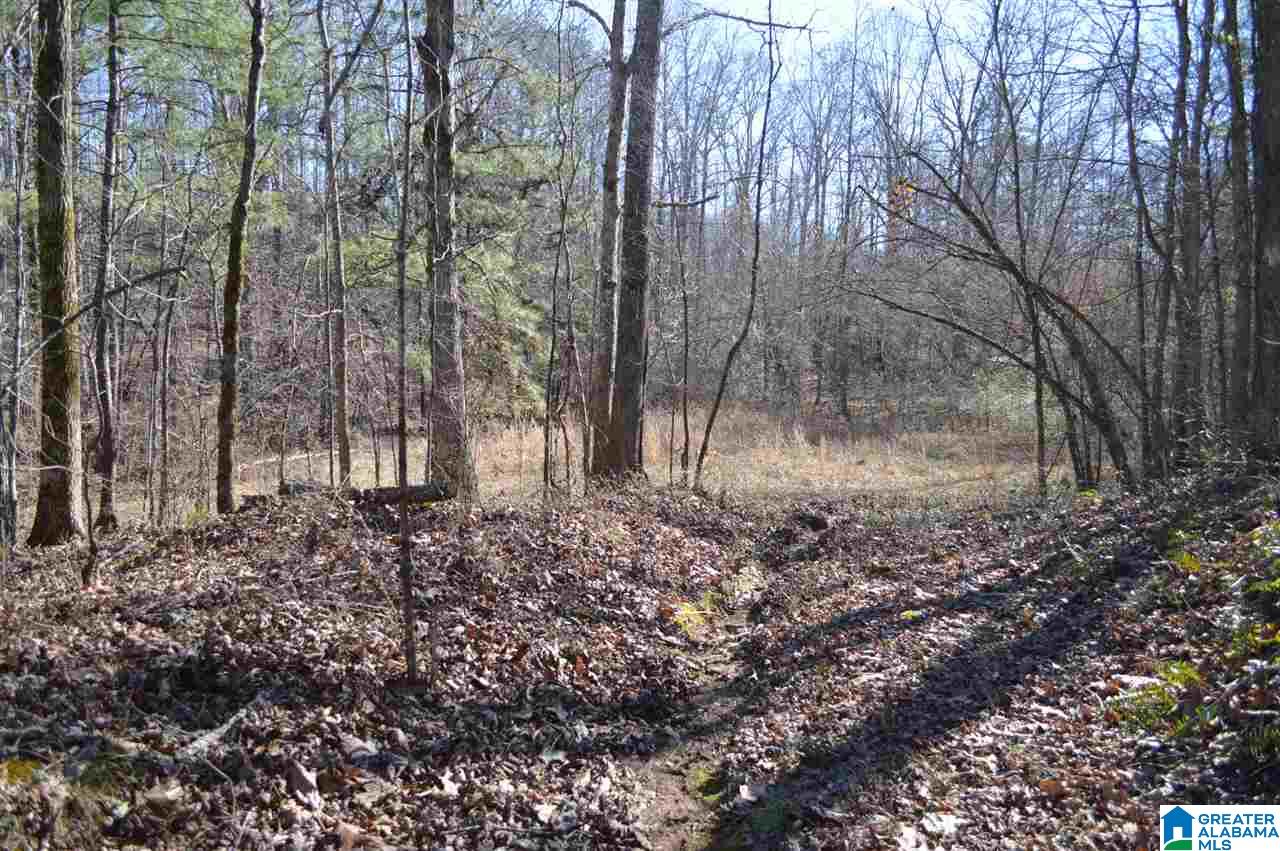 1900 Sanie Road Odenville, AL 35120 - Photo 37 of 48