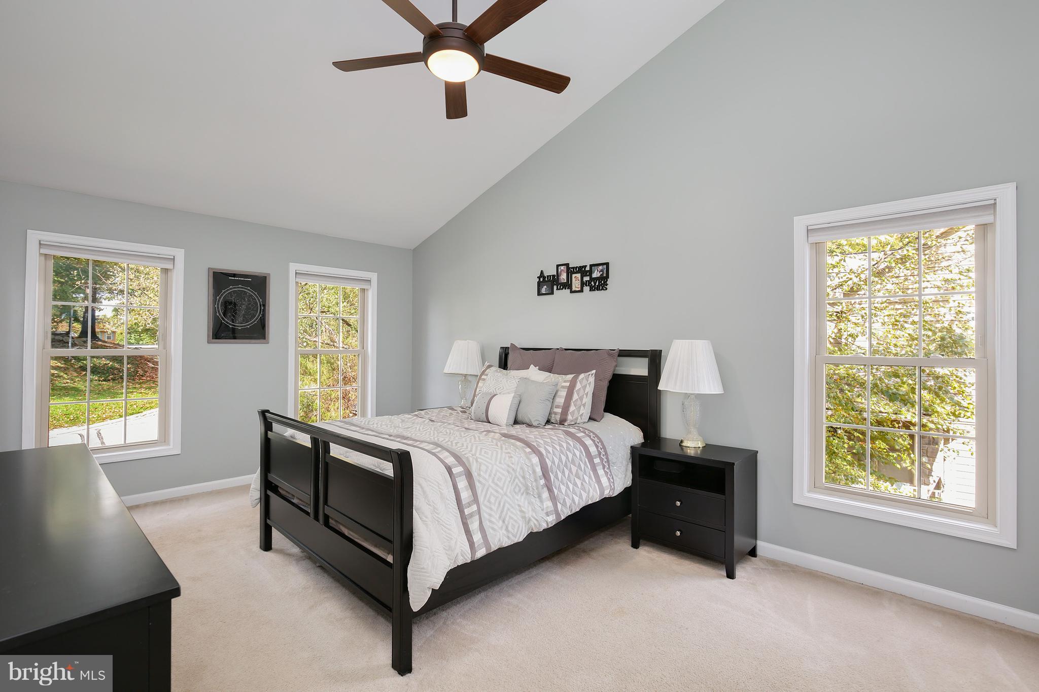 6793 Balmoral Ridge New Market, MD 21774 - Photo 17 of 30 Bedroom (Master)