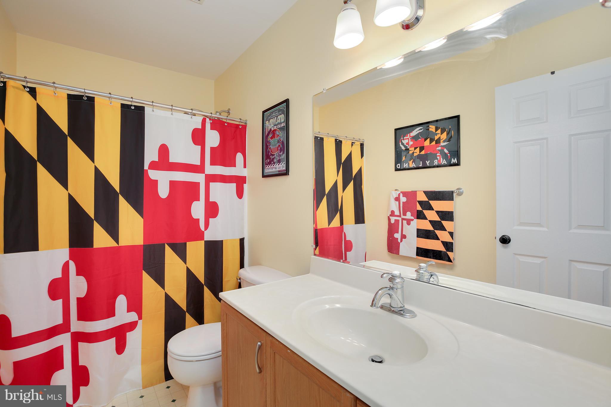 6793 Balmoral Ridge New Market, MD 21774 - Photo 20 of 30 Bath