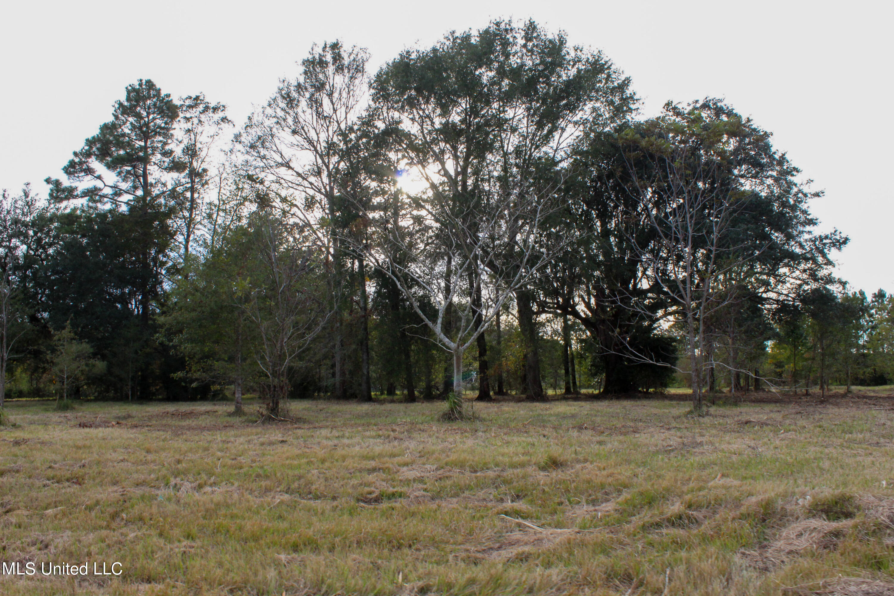Misty Lane Lucedale, MS 39452 - Photo 3 of 6 1EF7C380-8D86-4888-B797-85A44458B22C