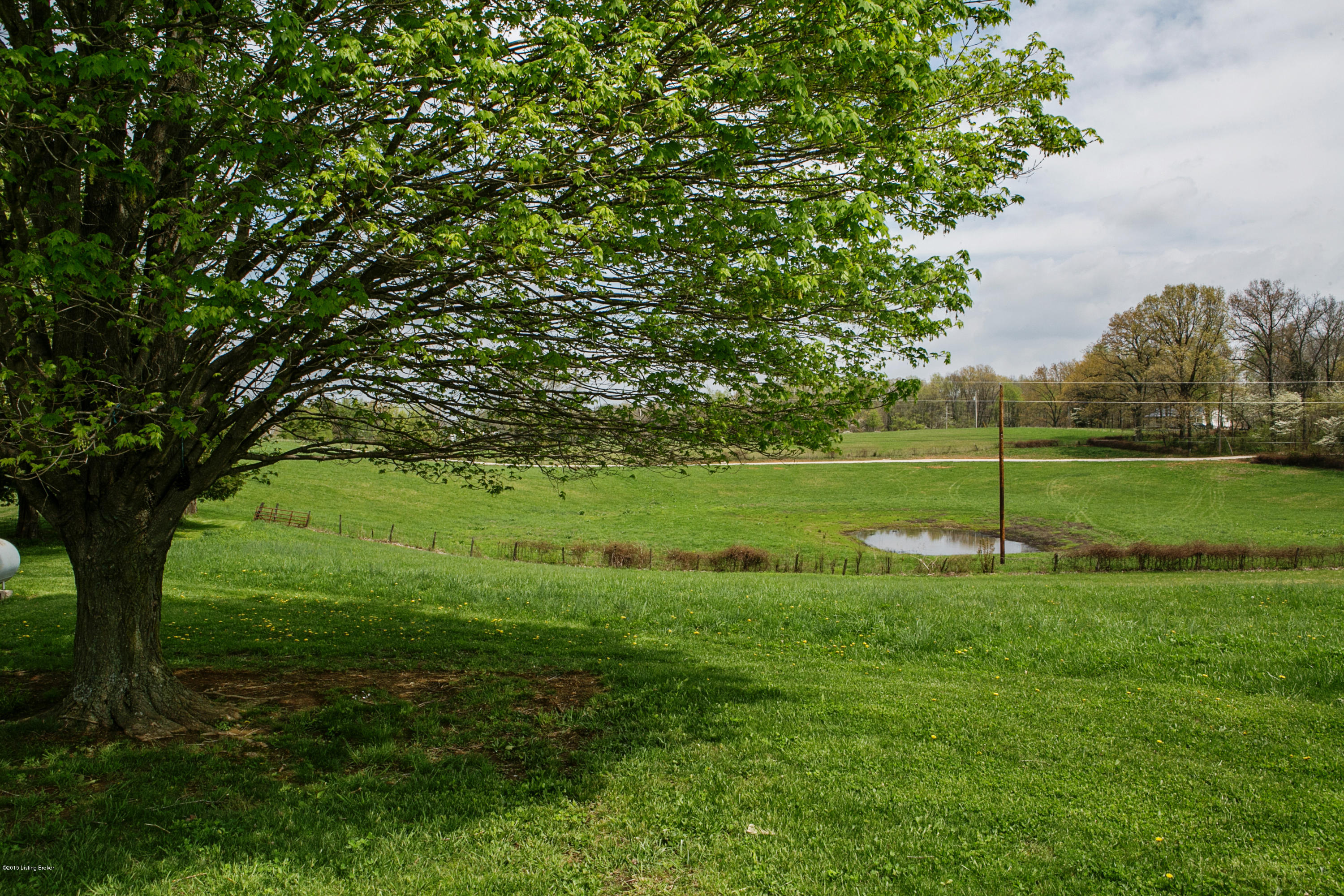 4610 Old State Road Brandenburg, KY 40108 - Photo 7 of 51 GS9A7053