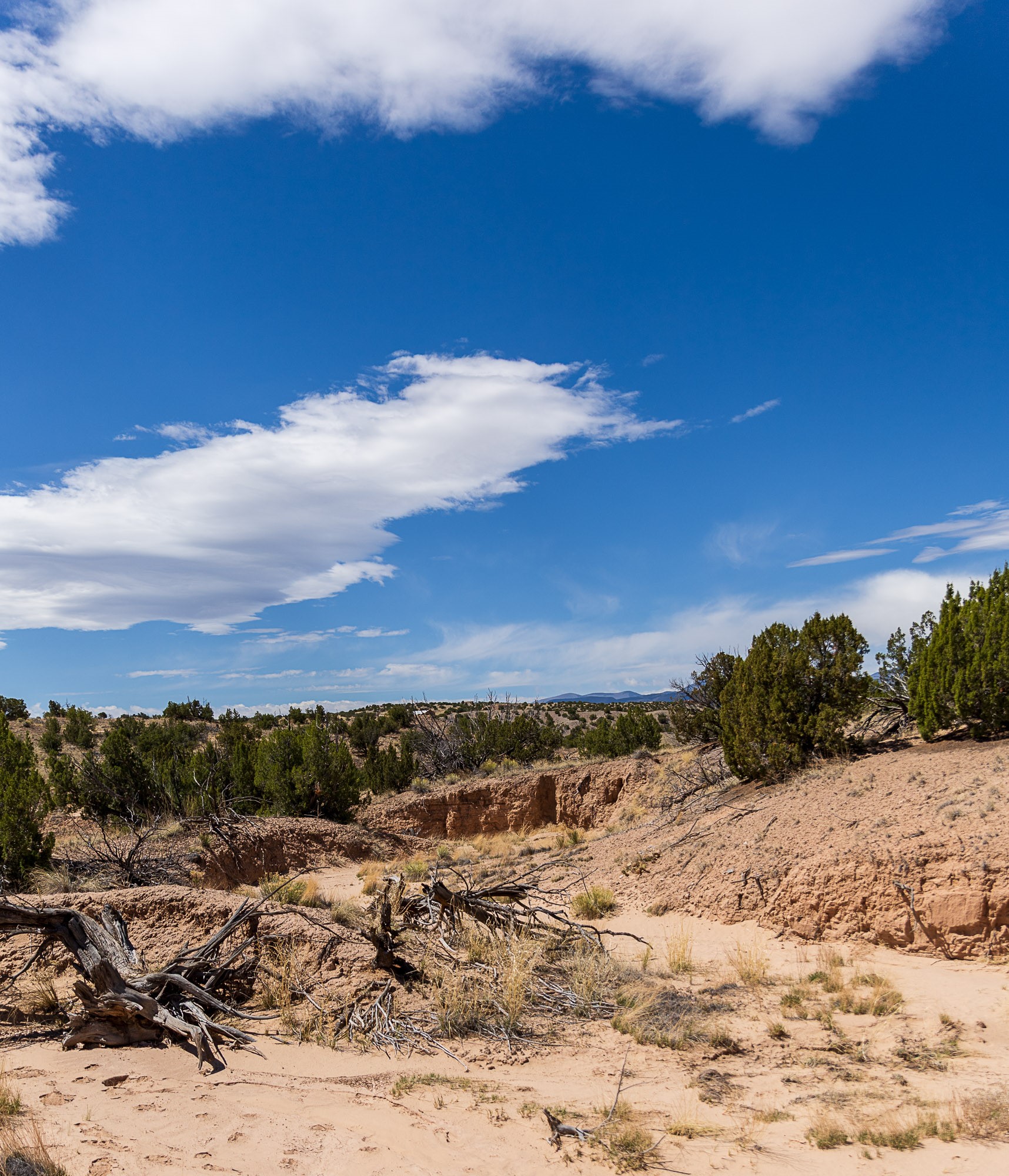 0 El Rito Estates Abiquiu, NM 87510 - Photo 46 of 56