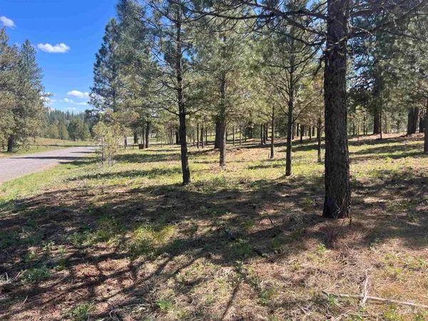 $250,000 | Lot 44 Old Highway, New Meadows, ID 83654