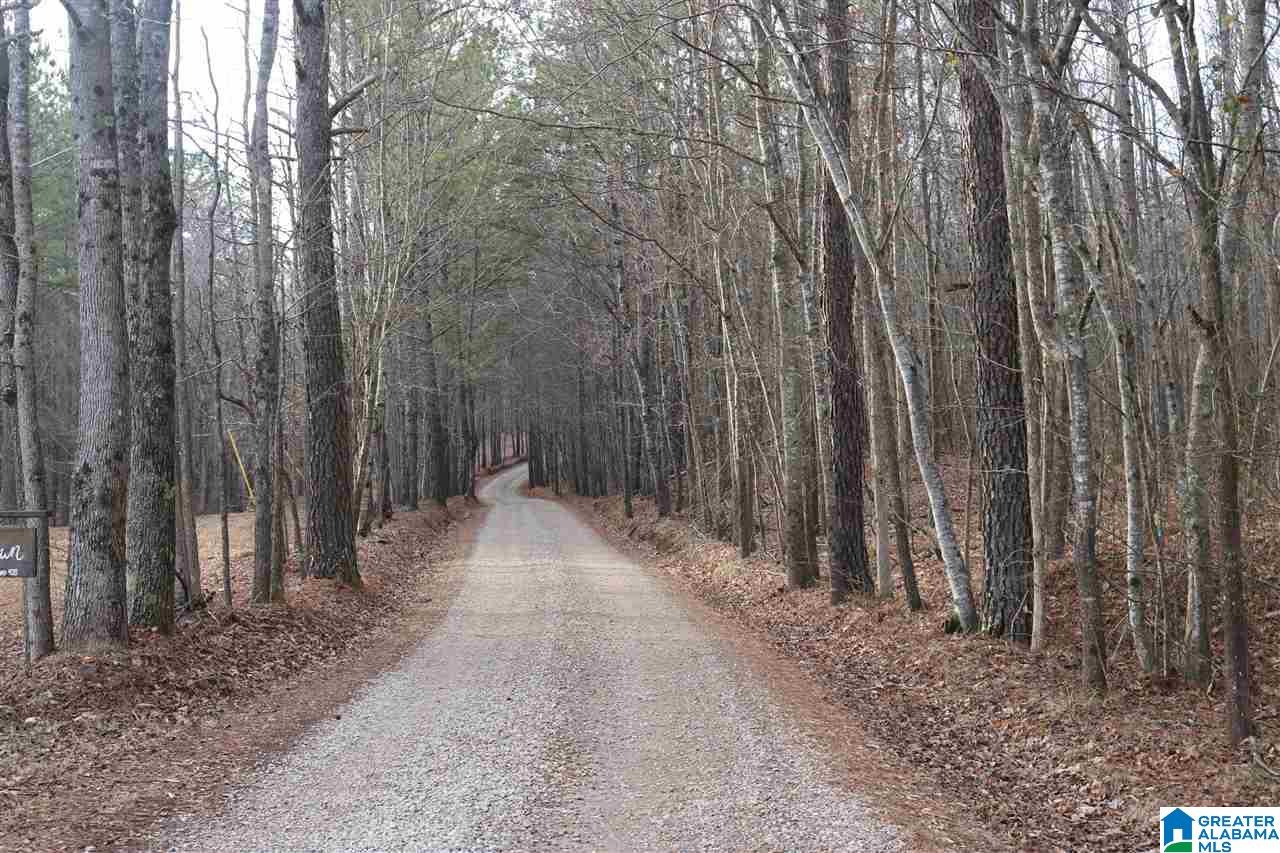 0 County Road 928, Unit 36 Delta, AL 36258 - Photo 7 of 20