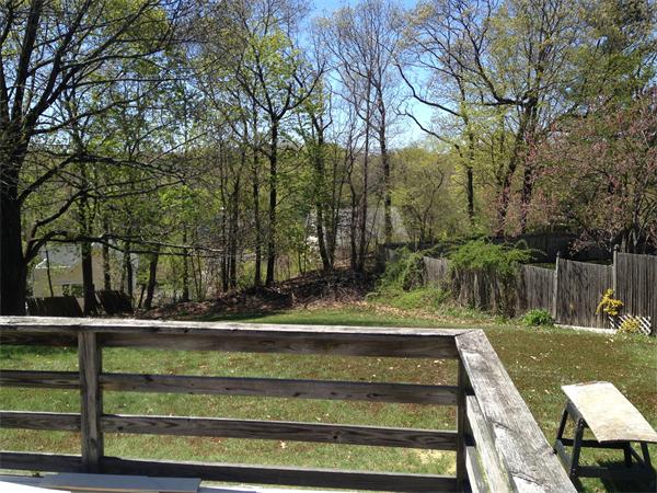 41 River Ridge Wellesley, MA 02481 - Photo 4 of 13