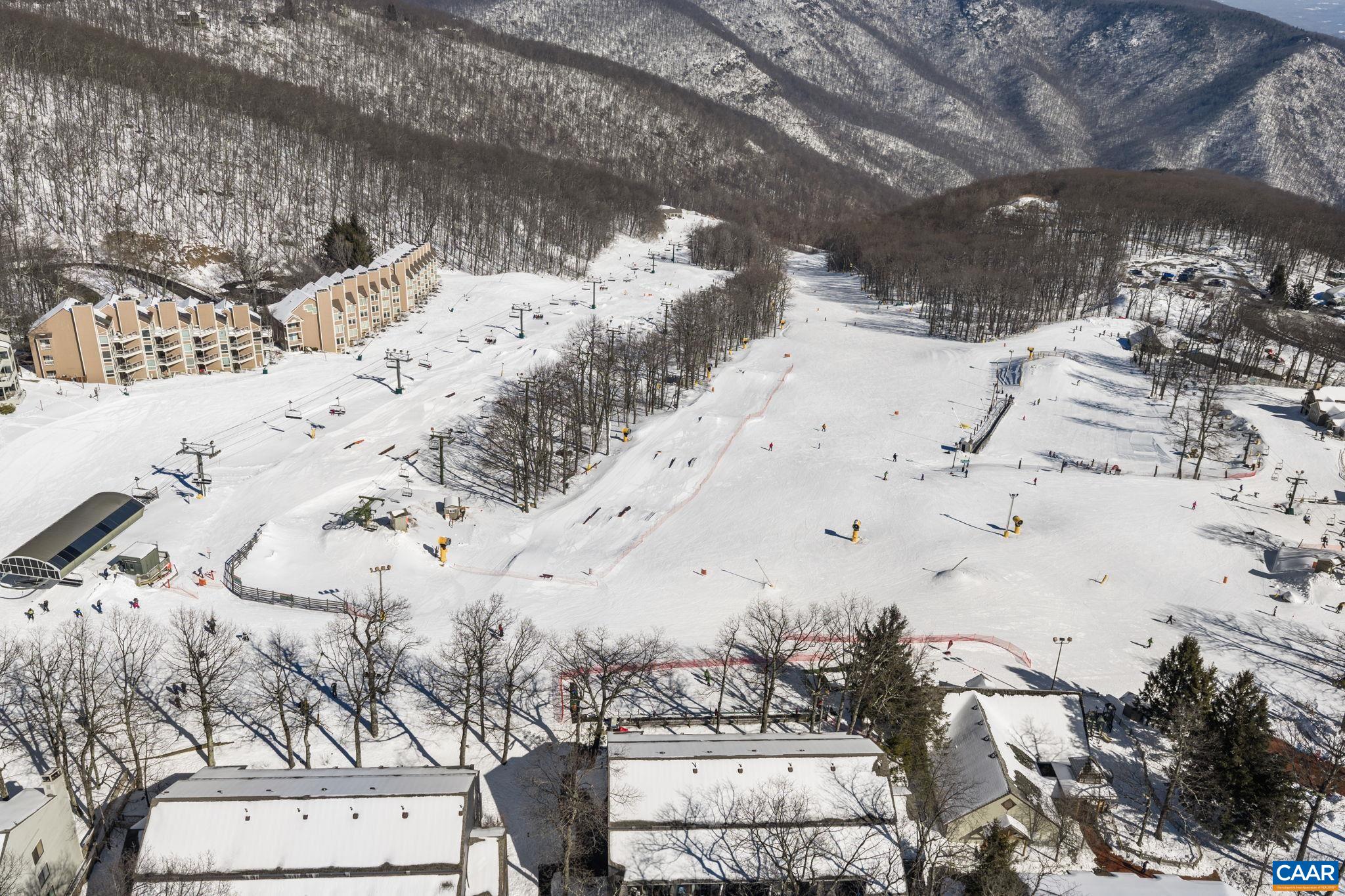 167 Mountain Inn Loop Roseland, VA 22967 - Photo 20 of 22