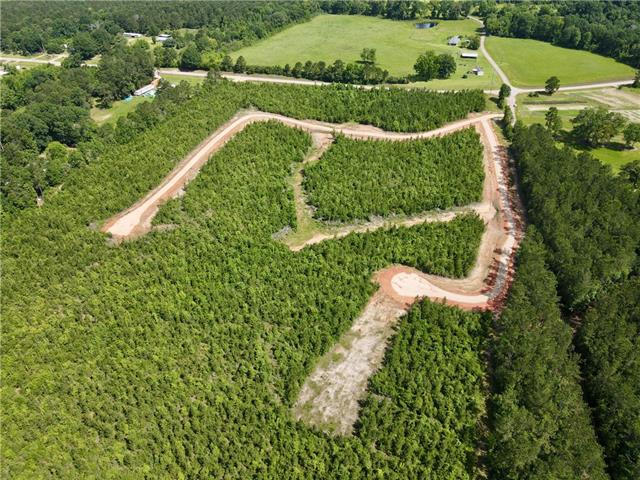 2 436th Highway Angie, LA 70426 - Photo 13 of 19