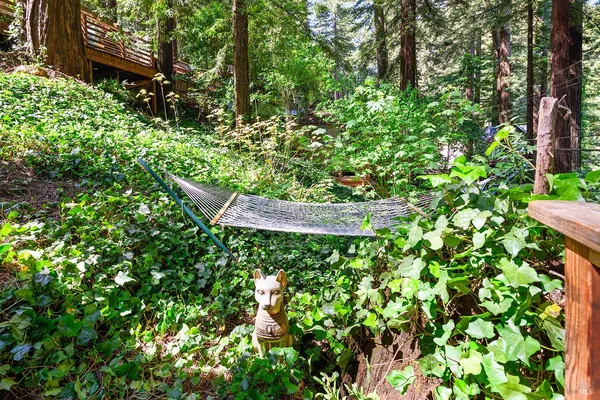 a view of a garden with a tree
