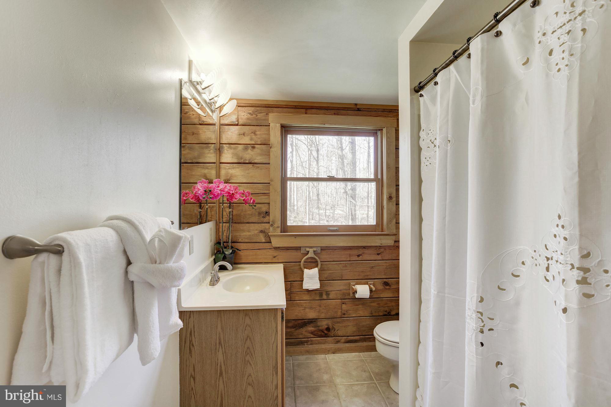 12813 Orange Plank Road Locust Grove, VA 22508 - Photo 13 of 30 Main Floor Bath