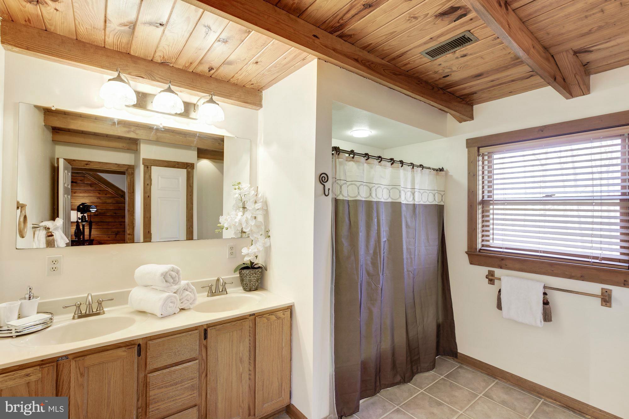 12813 Orange Plank Road Locust Grove, VA 22508 - Photo 21 of 30 Well Lit and Spacious Owners Bath