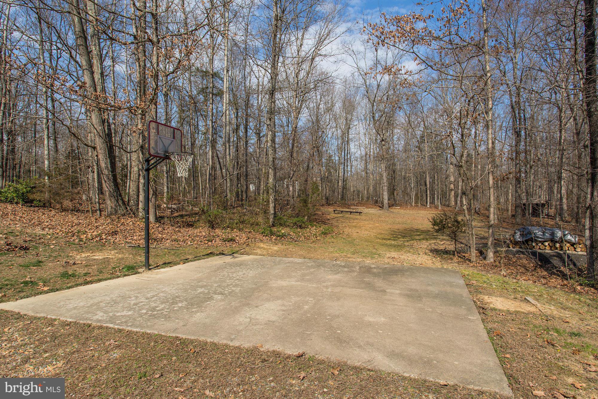 12813 Orange Plank Road Locust Grove, VA 22508 - Photo 29 of 30 Shoot some hoops!