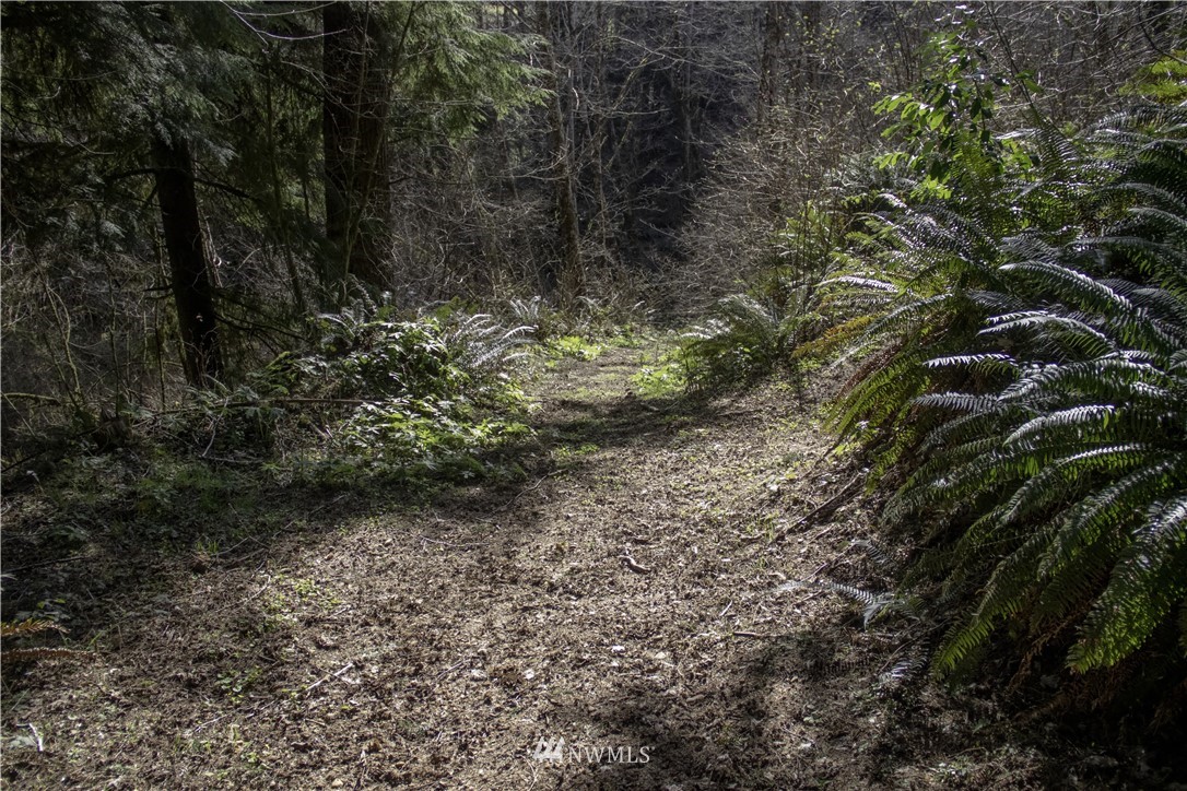 206 Old Hill Road Aberdeen, WA 98520 - Photo 25 of 35 Gallery Image 25