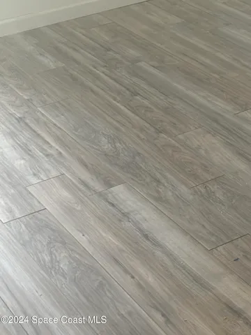 a view of a backyard with potted plants and a large tree