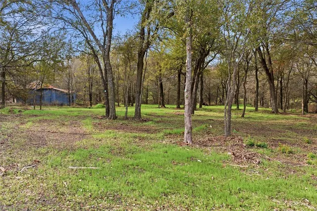 a view of a park with trees