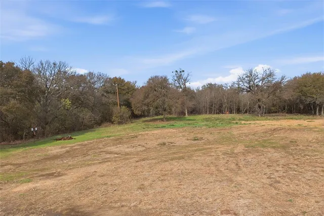 a view of a field with trees in the background