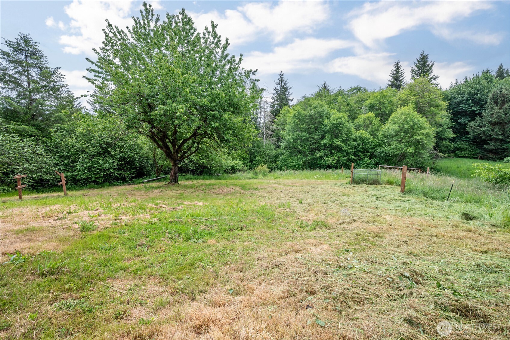 355 Slide Creek Road Longview, WA 98632 - Photo 30 of 36