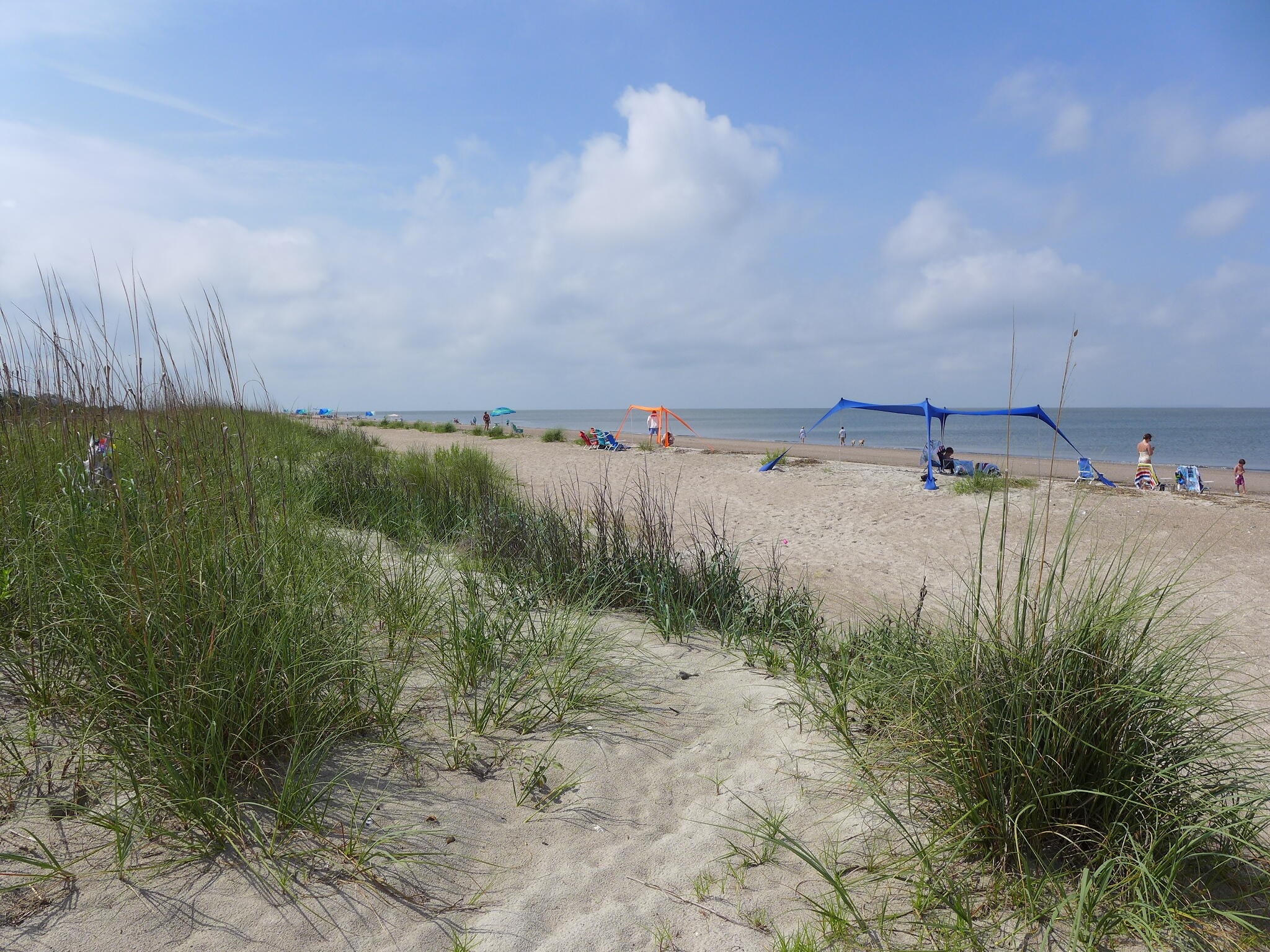 3332 Myrtle Street Edisto Island, SC 29438 - Photo 63 of 68 P1130017