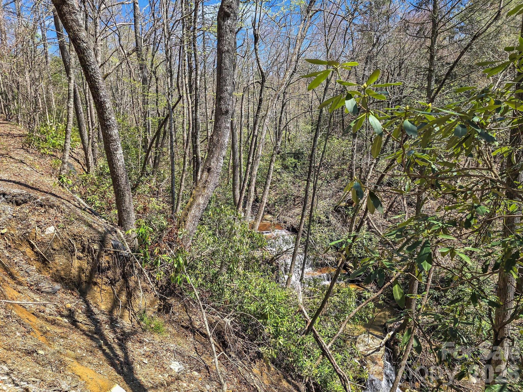 999 Bulling Creek Road Penrose, NC 28766 - Photo 14 of 37