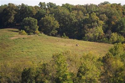 1785 Highview Church Road Bloomfield, KY 40008 - Photo 1 of 28 Large open pasture on top of hill...wood