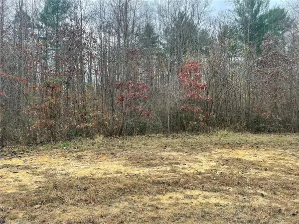 $21,000 | Block B Pulco Lane, Ronda, NC 28670