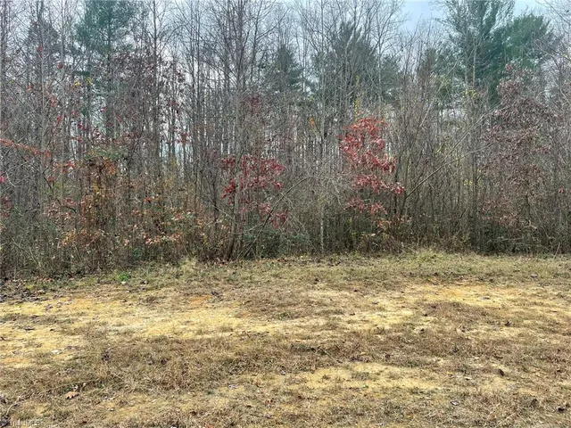 $21,000 | Block B Pulco Lane, Ronda, NC 28670