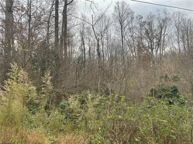 $21,000 | Block B Pulco Lane, Ronda, NC 28670
