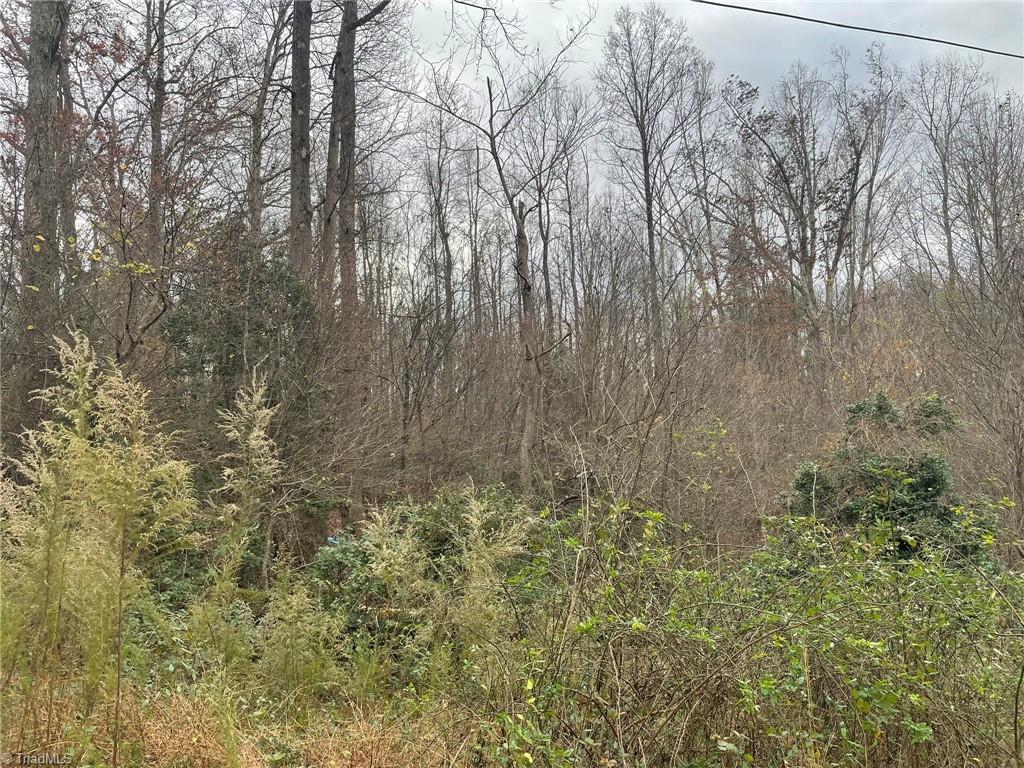 Block B Pulco Lane Ronda, NC 28670 - Photo 5 of 7