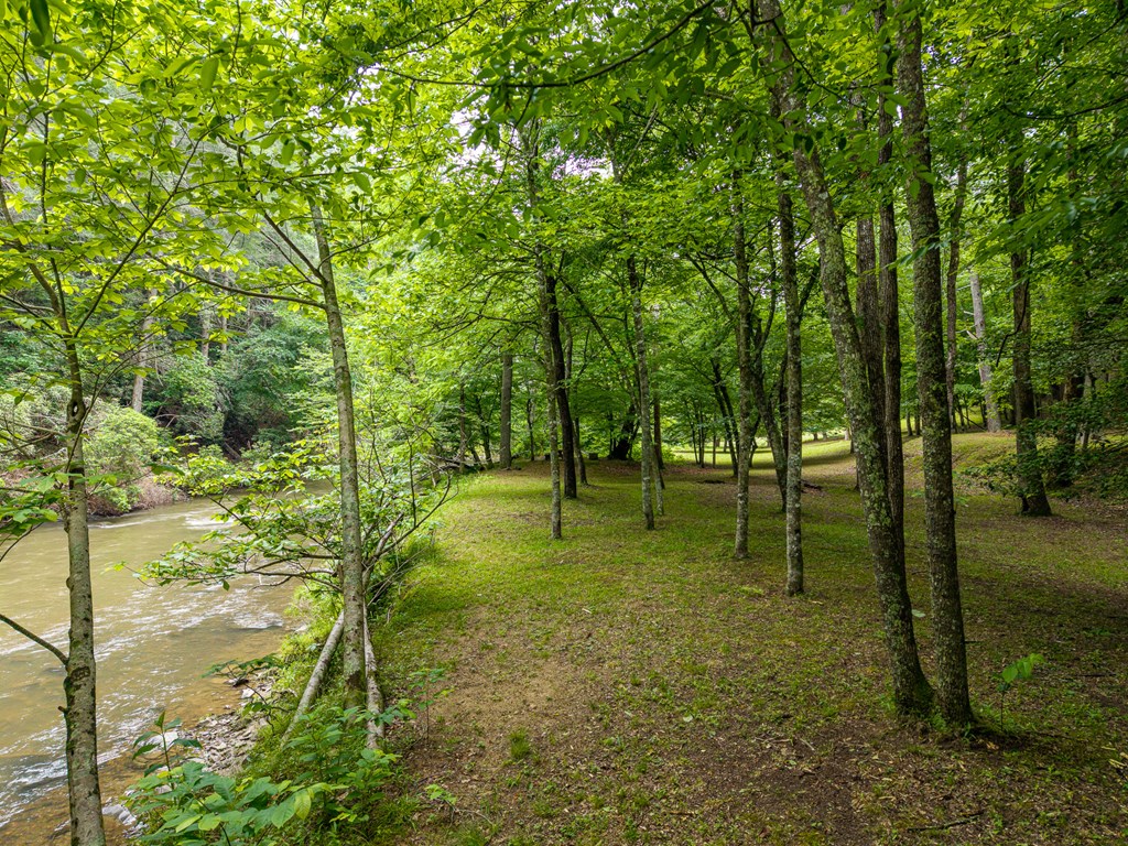 1774 Hicks Ford Road Ellijay, GA 30540 - Photo 8 of 32