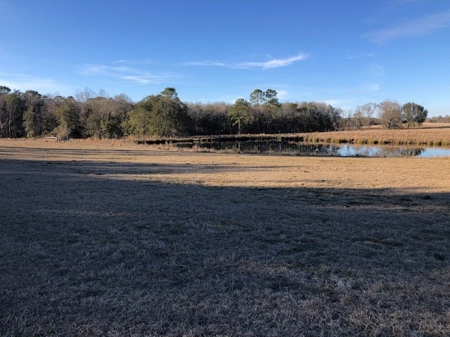 15-ac Cravey Bridge Road Florala, AL 36442 - Photo 1 of 16 Gallery Image 1