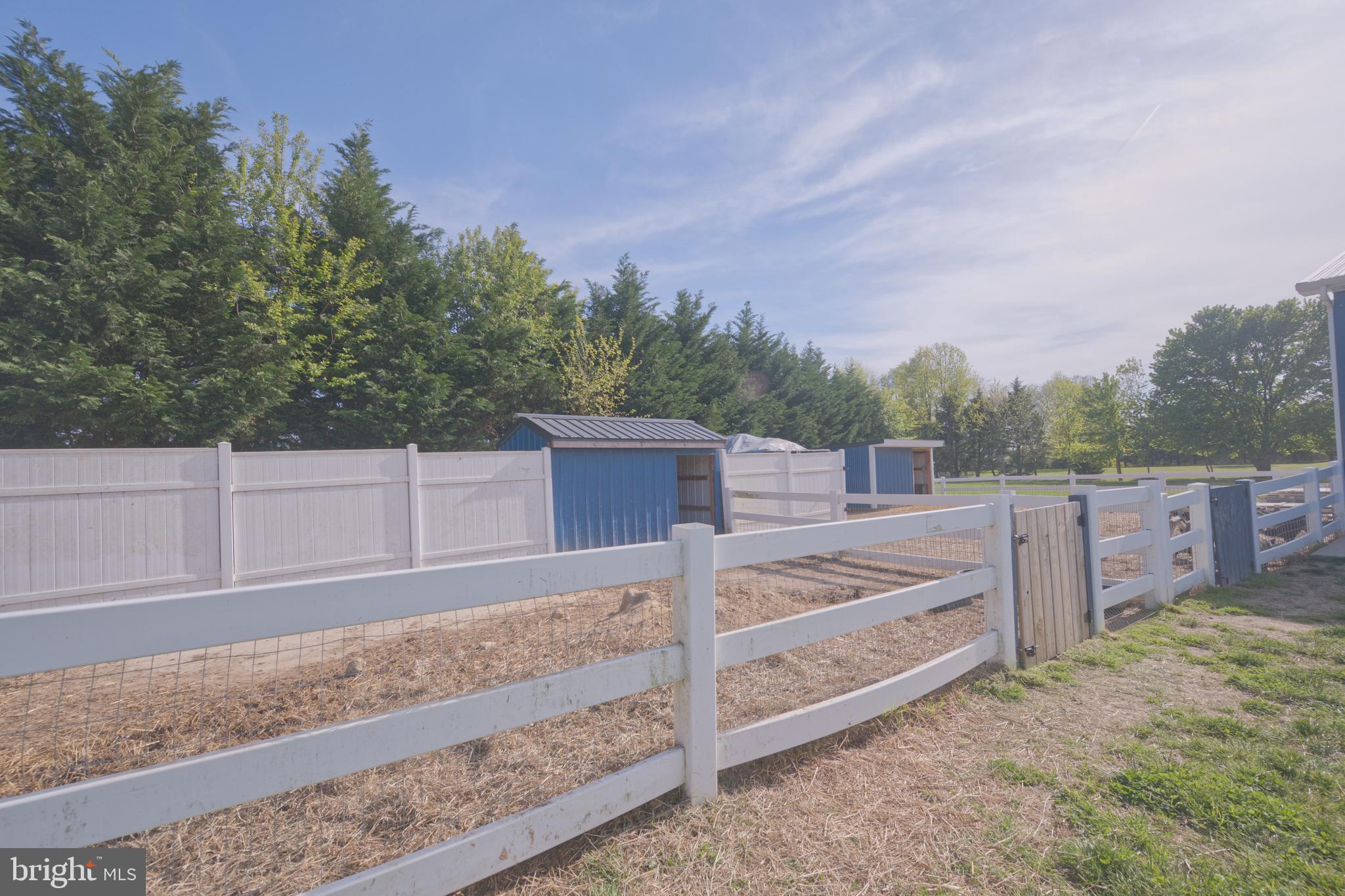 3510 West Denneys Road Dover, DE 19904 - Photo 11 of 41 Space for Animals