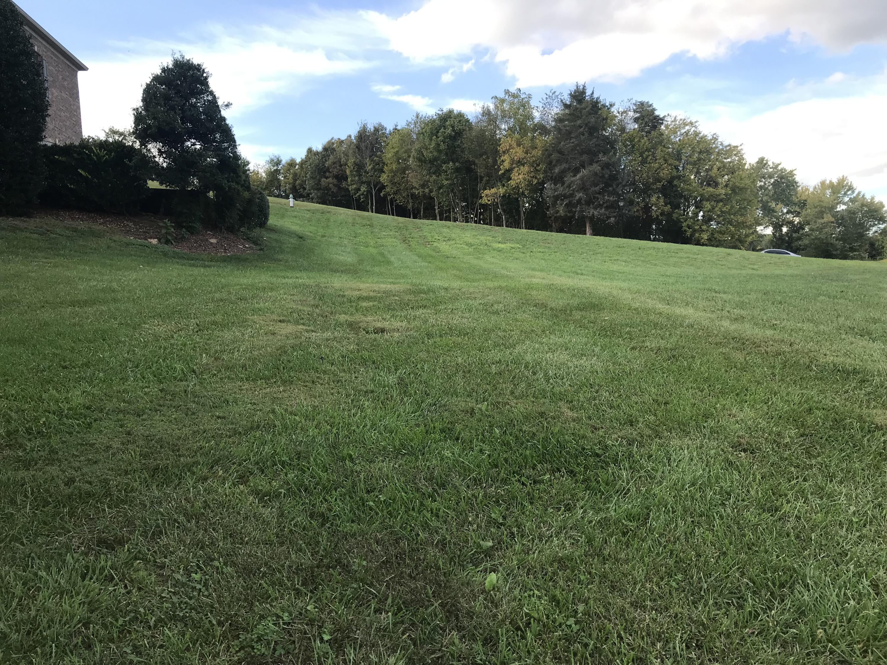 Lot 97 Ridgetop Drive, Unit 97 Johnson City, TN 37615 - Photo 2 of 38 54EDC76C-6709-4EE4-800E-516BACC5C1A0