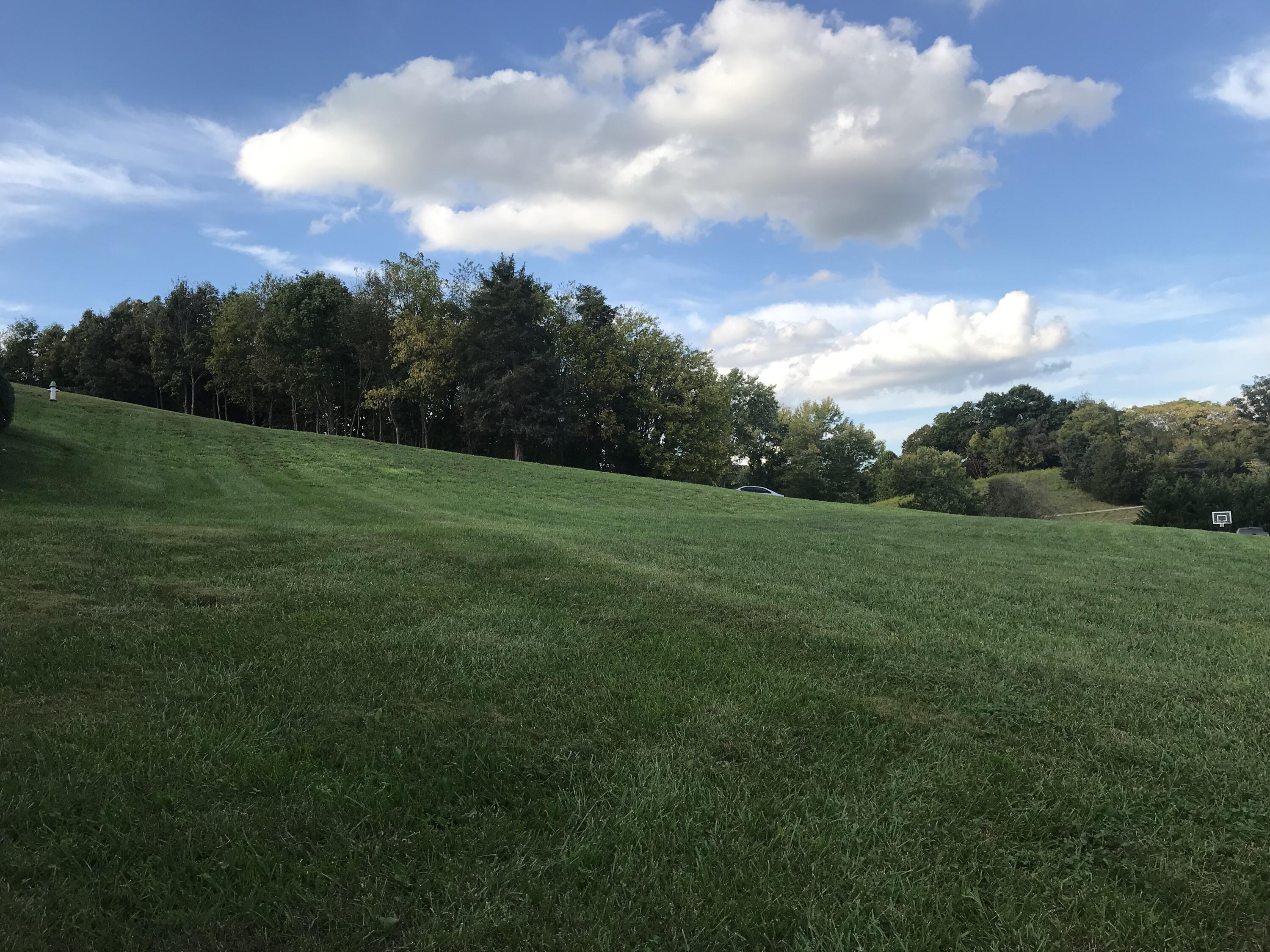 Lot 97 Ridgetop Drive, Unit 97 Johnson City, TN 37615 - Photo 3 of 38 1B59B5F3-3B9A-4993-8DE2-40CCF48FD5FA
