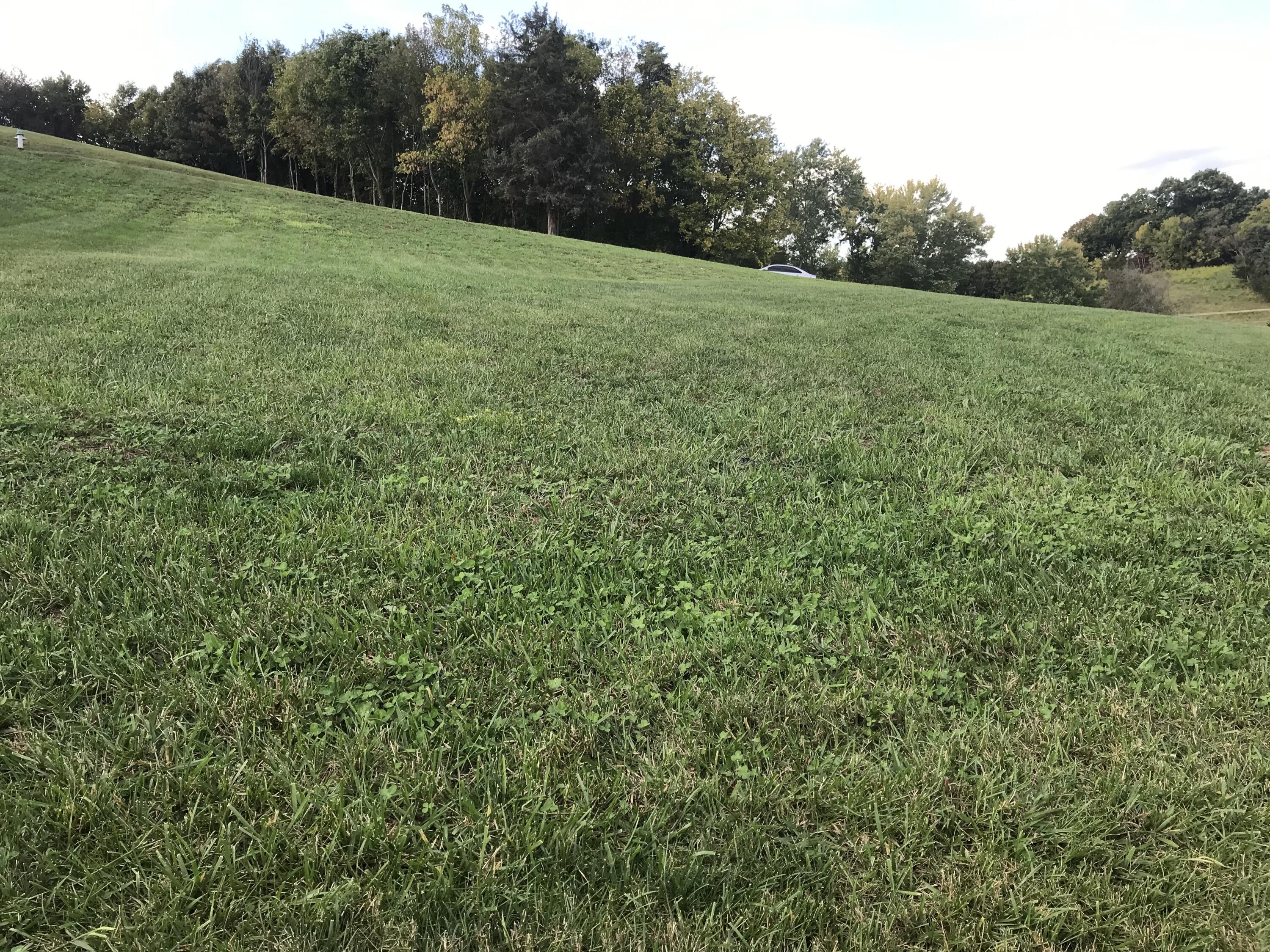 Lot 97 Ridgetop Drive, Unit 97 Johnson City, TN 37615 - Photo 4 of 38 251C2571-63EB-4B87-BD8B-631DBE1BEF57