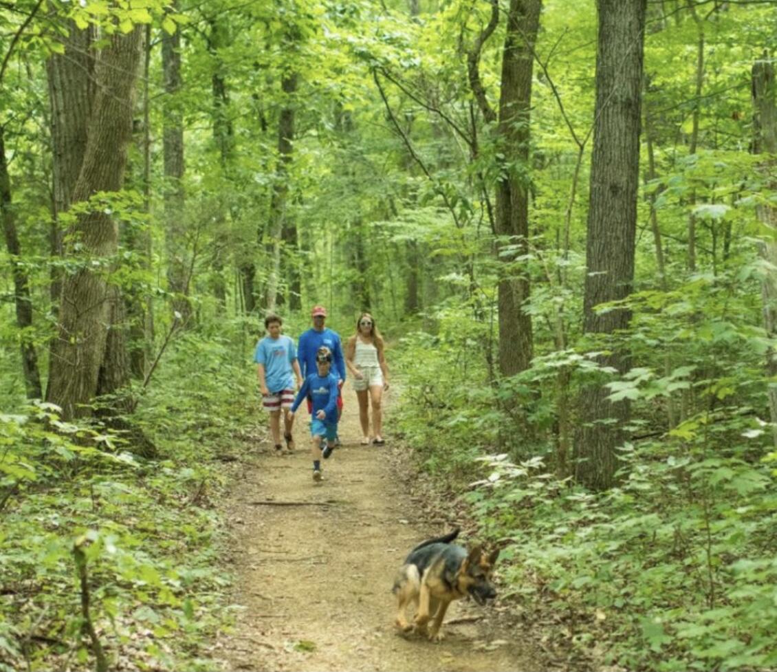 Lot 97 Ridgetop Drive, Unit 97 Johnson City, TN 37615 - Photo 38 of 38 3020B3C2-0F3D-42F8-98C2-70C4C0A0794F