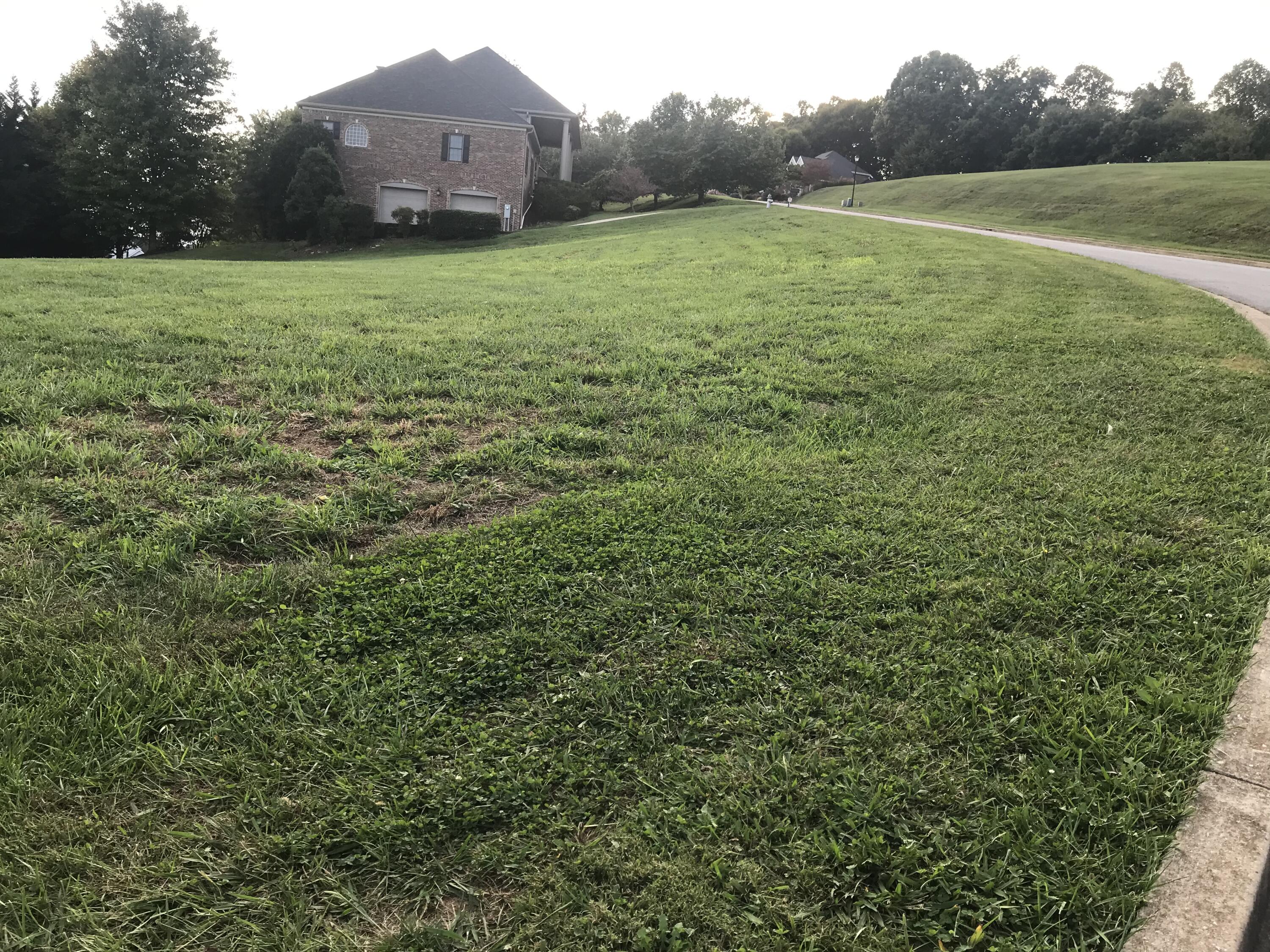 Lot 97 Ridgetop Drive, Unit 97 Johnson City, TN 37615 - Photo 5 of 38 2CAF0AD7-E080-4466-98AA-750CDAA8A060