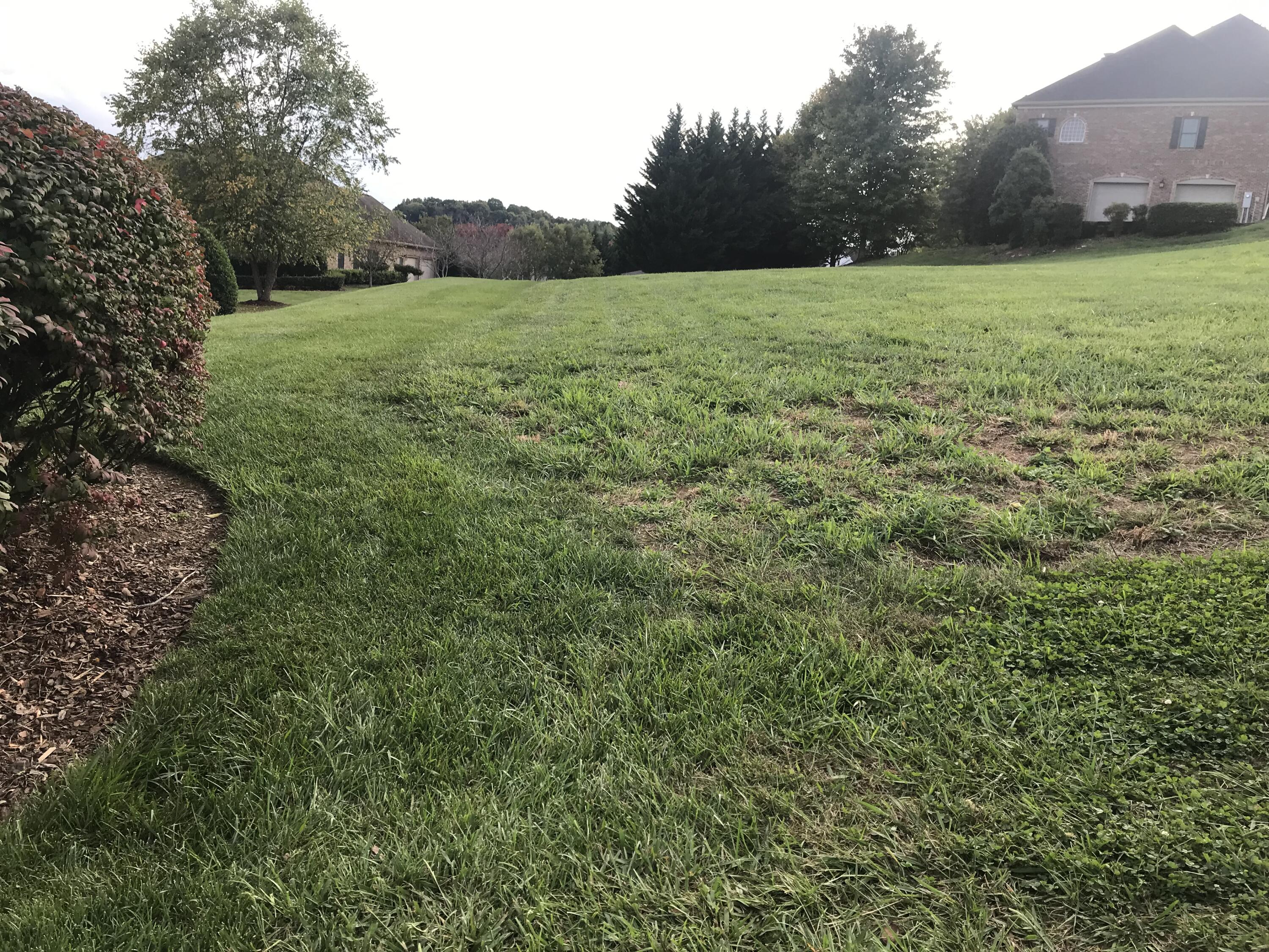 Lot 97 Ridgetop Drive, Unit 97 Johnson City, TN 37615 - Photo 6 of 38 B1F340E0-314A-4604-835D-8004E1D87280