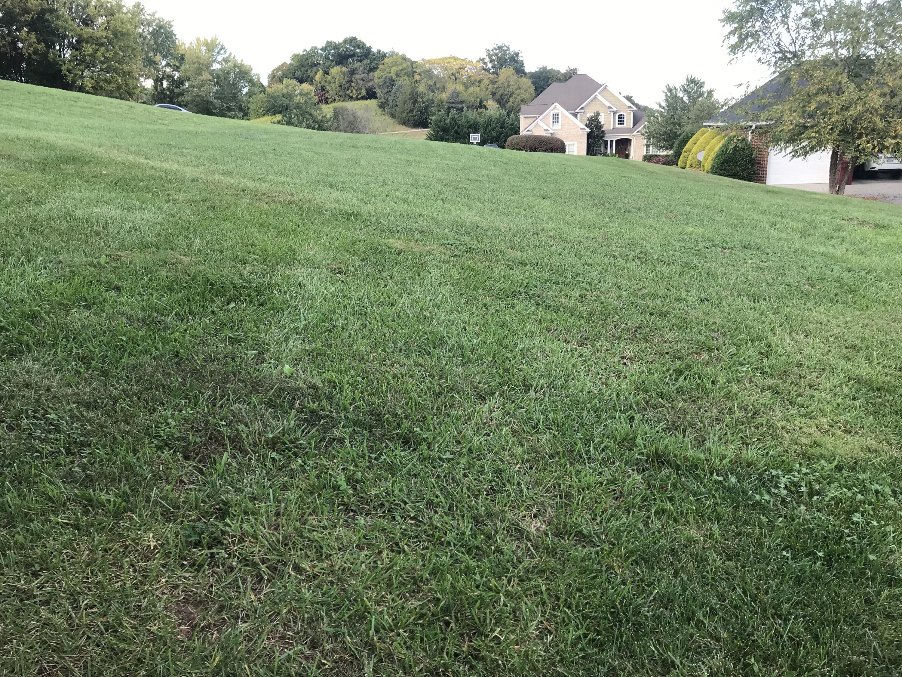 Lot 97 Ridgetop Drive, Unit 97 Johnson City, TN 37615 - Photo 7 of 38 FED14881-299A-4F65-8606-A1FB405E9CC9