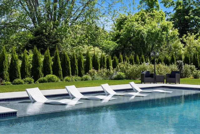 a view of swimming pool with lounge chair and trees