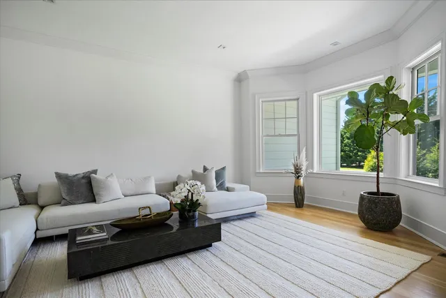 a living room with furniture and a potted plant