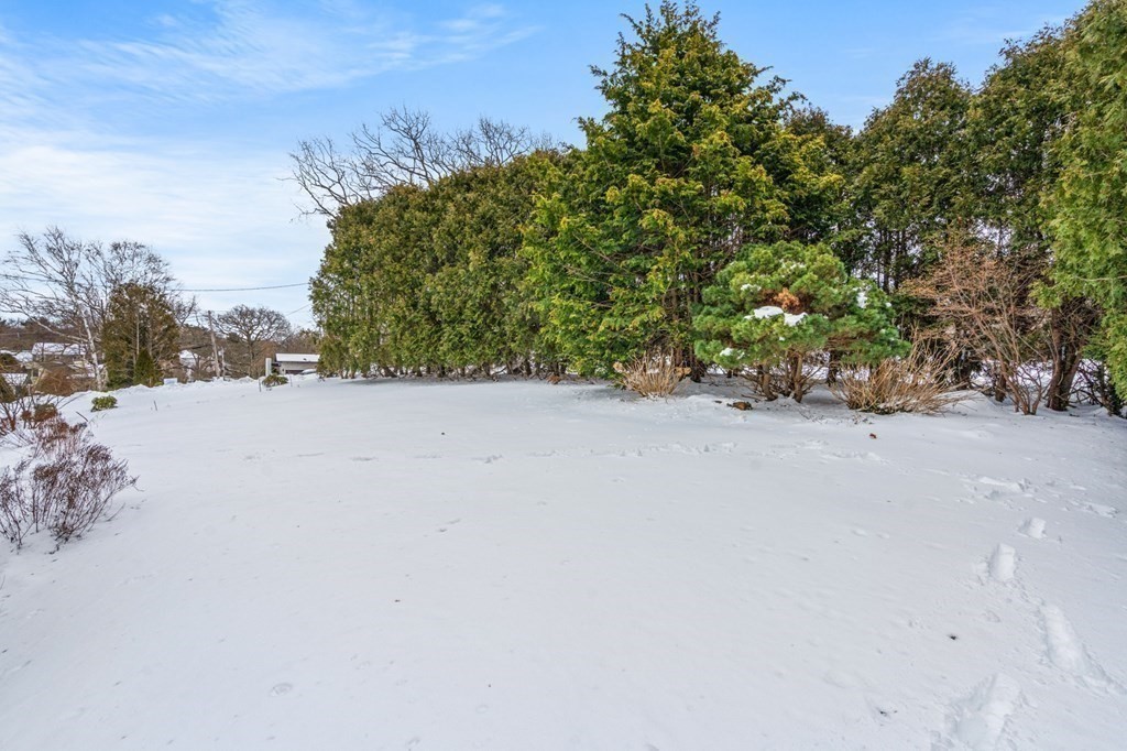 20 York Road Winchester, MA 01890 - Photo 36 of 38 Gallery Image 36