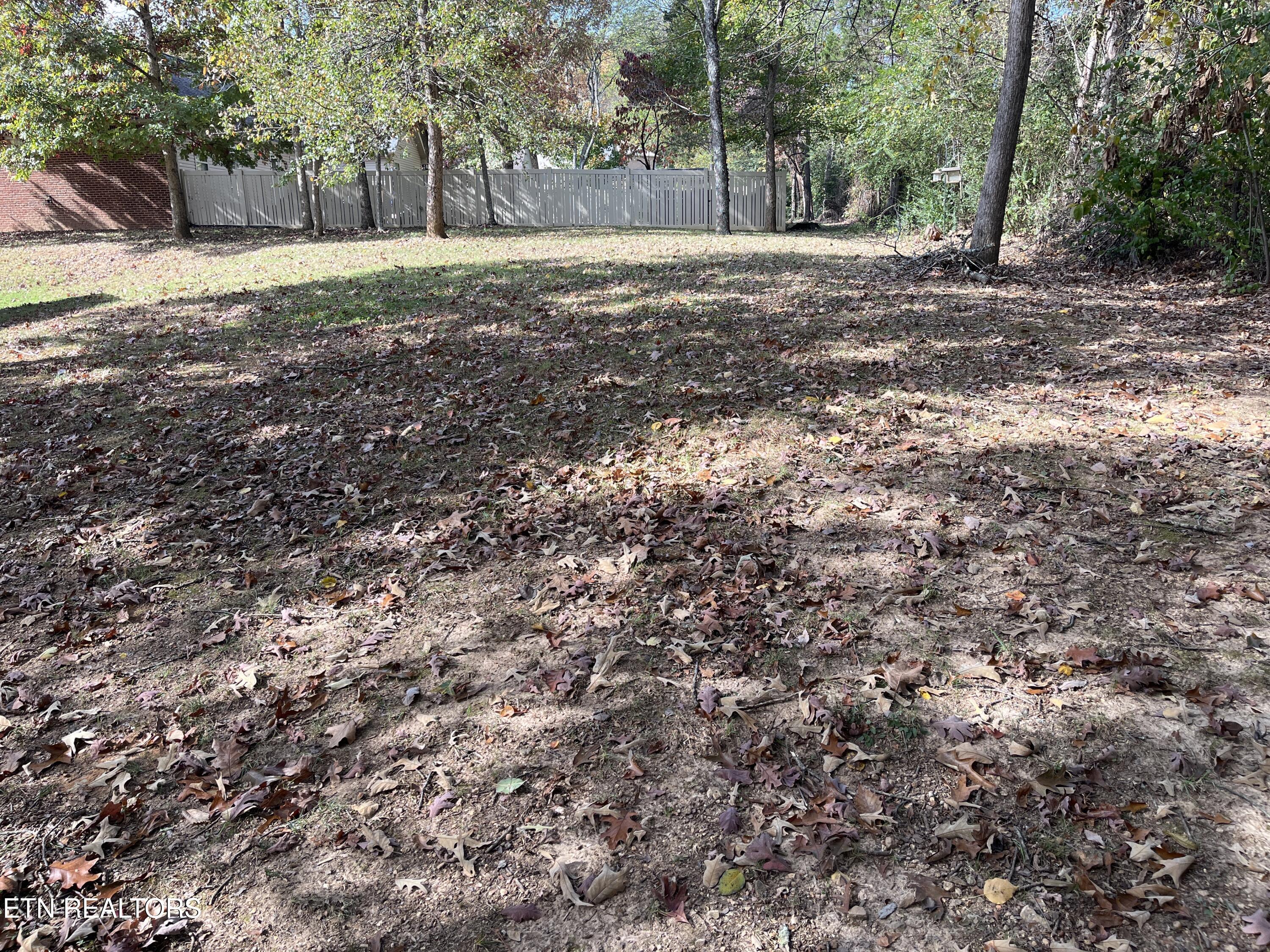 6062 Whisper Ridge Lane Corryton, TN 37721 - Photo 26 of 29 image