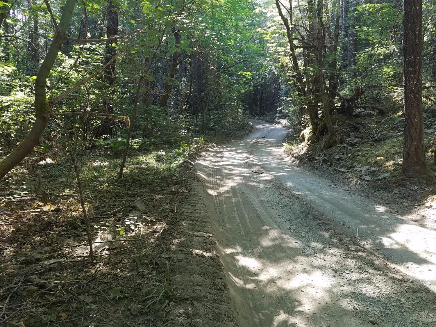 0 Munger Creek Road Williams, OR 97544 - Photo 10 of 10 Additional Photo
