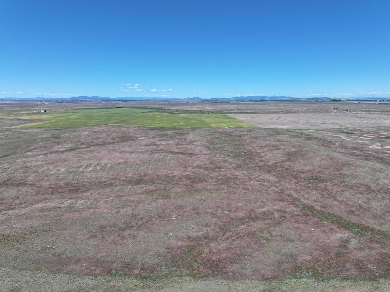 Lot 2 Hepler Large Road Davenport, WA 99122 - Photo 5 of 14 Gallery Image 5