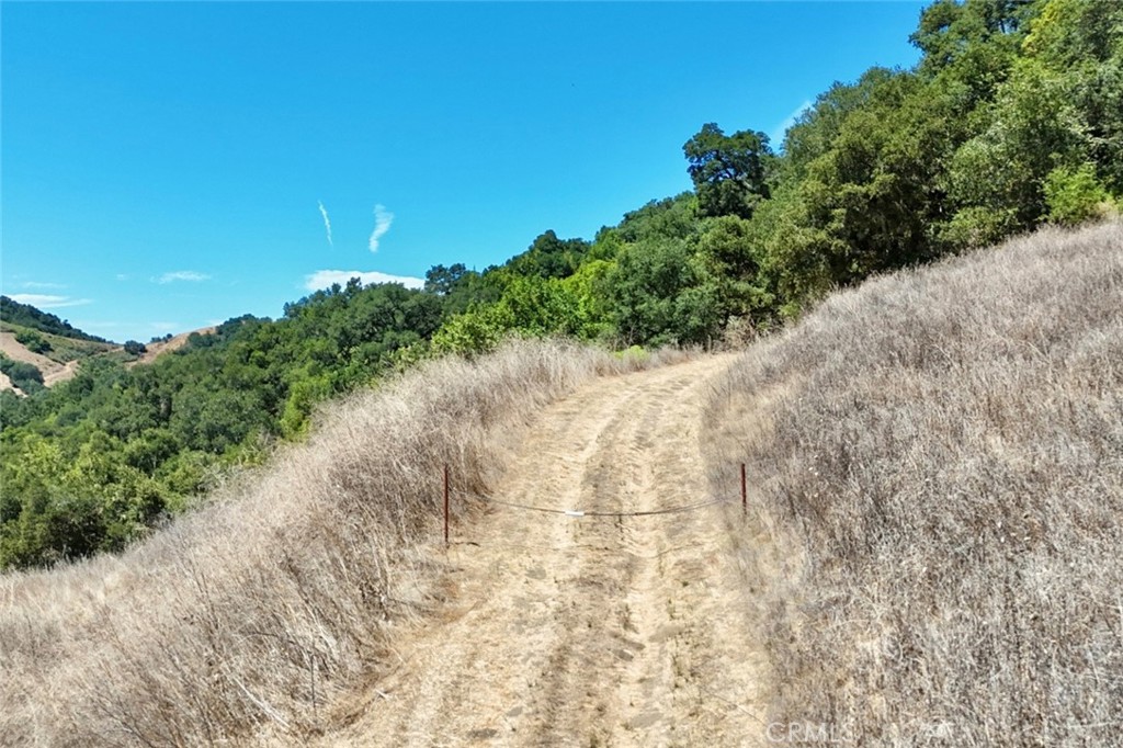 0 Old Creek Road Templeton, CA 93465 - Photo 24 of 26 a view of a yard with plants and a large tree