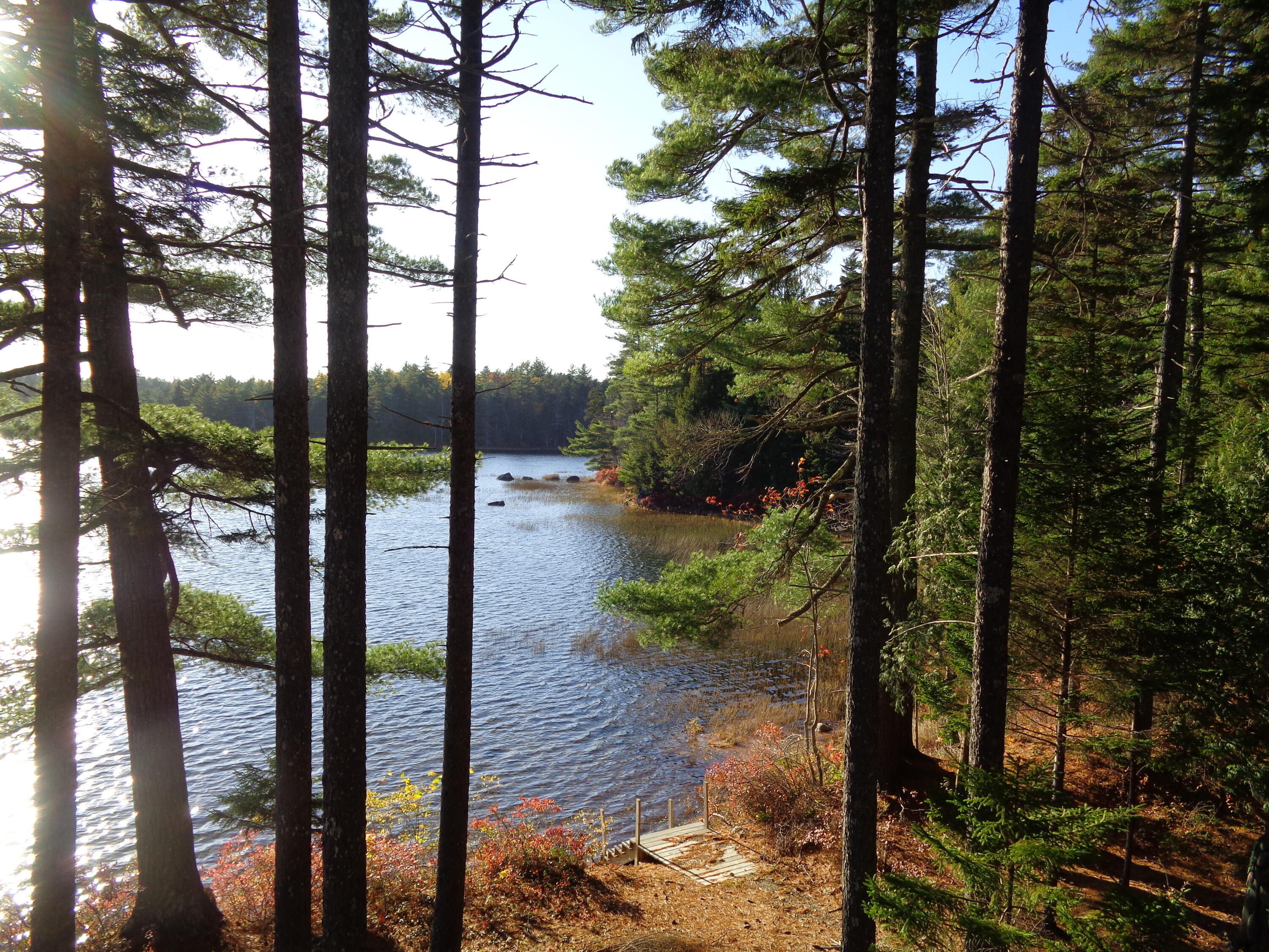 T10 Sd Me 04622 Road Cherryfield, ME 04622 - Photo 30 of 45 Steps to shore