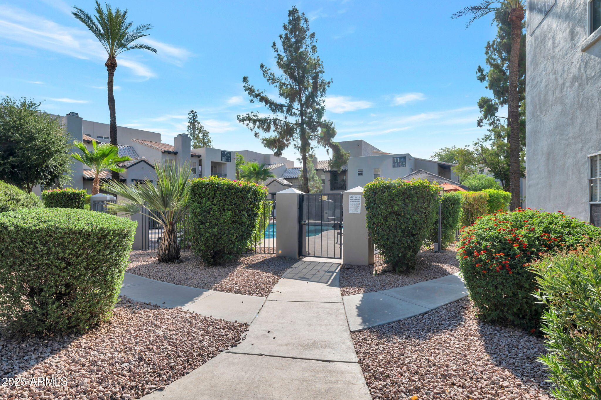 14145 North 92nd Street, Unit 1051 Scottsdale, AZ 85260 - Photo 4 of 21 a view of a garden with potted plants