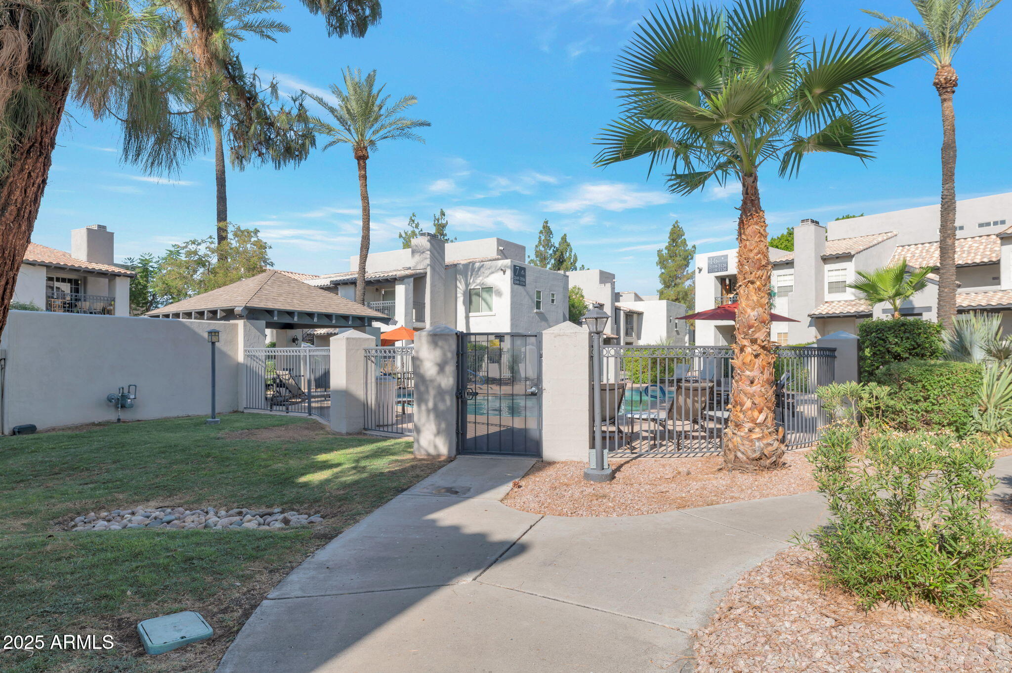 14145 North 92nd Street, Unit 1051 Scottsdale, AZ 85260 - Photo 6 of 21 a row of palm trees and a yard in front of the house