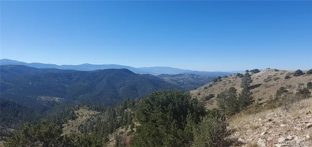 a view of a house with a mountain and a forest